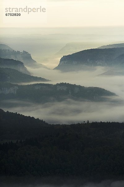 Morgennebel mit Wald bei Schloss Werenwag im Donautal  Luftbild