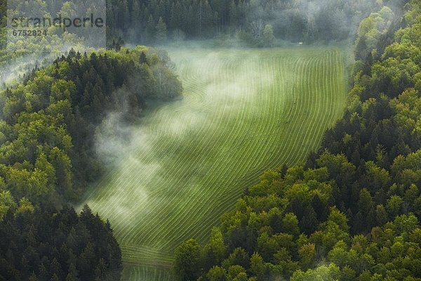 Morgennebel mit Wald und Wiese im Donautal  Luftbild