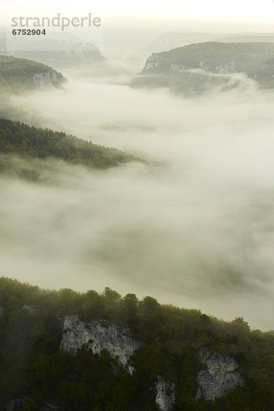 Morgennebel mit Wald und Felsen bei Schloss Werenwag im Donautal  Luftbild
