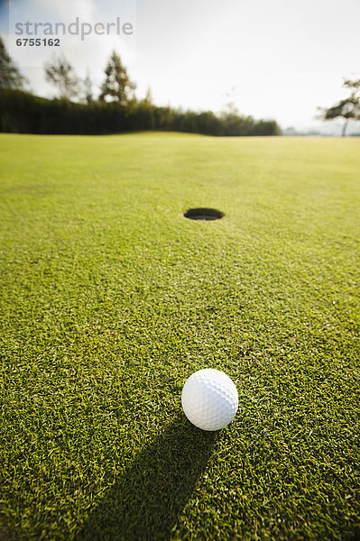 Golfball auf Gras