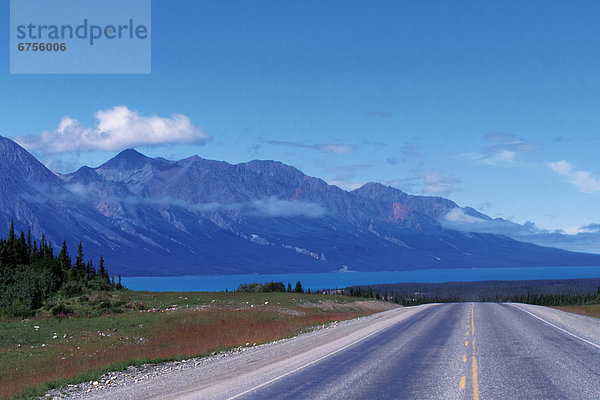 Kluane Nationalpark  Kanada  Yukon