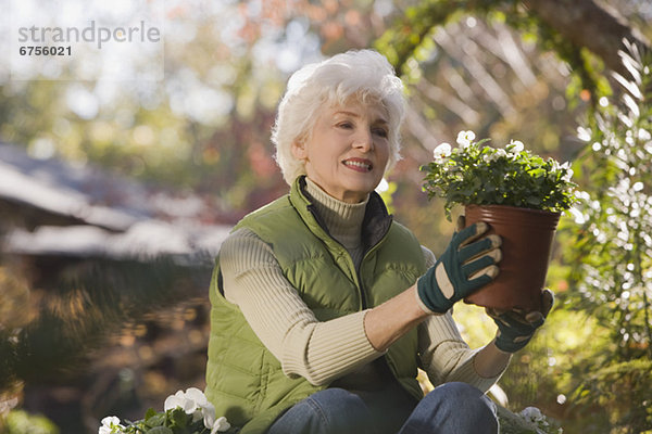 sitzend  Senior  Senioren  Frau  halten  Pflanze  Garten  Topfpflanze