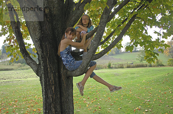 sitzend  Baum  2  Mädchen  Ontario