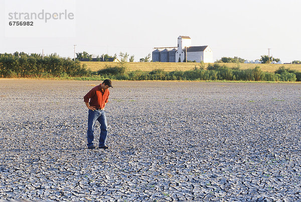 Bauer  Landschaft  Dürre  Manitoba