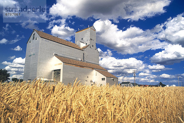 Getreideheber  Manitoba