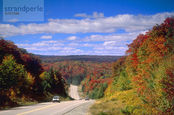 Algonquin Provincial Park  Ontario