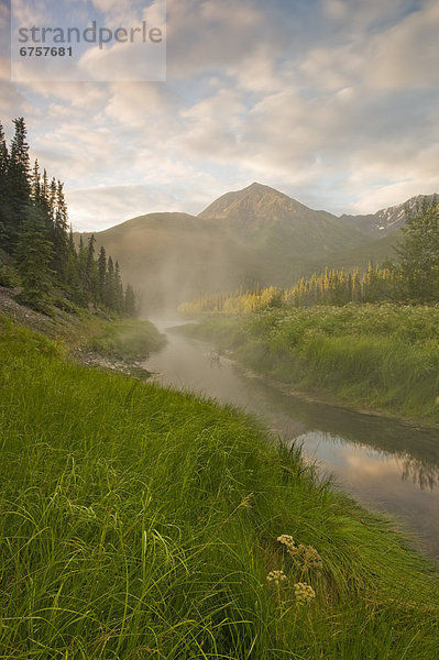 Quelle  Wärme  aufwärts  Überfluss  Wasserdampf  Fokus auf den Vordergrund  Fokus auf dem Vordergrund  Gras  Northwest Territories