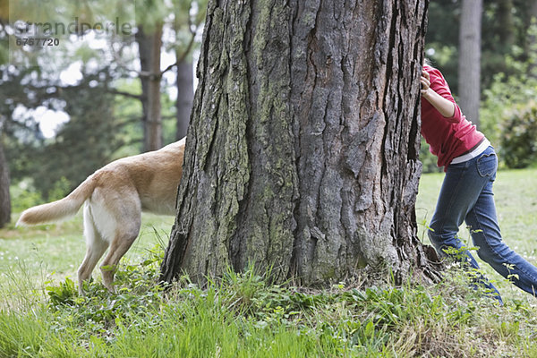 verstecken  suchen  Hund  Mädchen  spielen