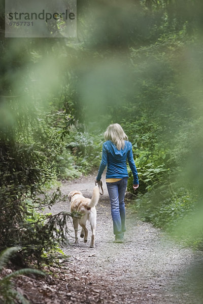 gehen  Weg  Wald  Hund  Mädchen