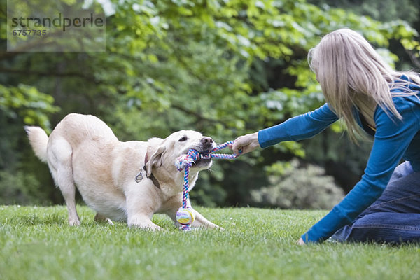 Hund  Mädchen  spielen  Tauziehen