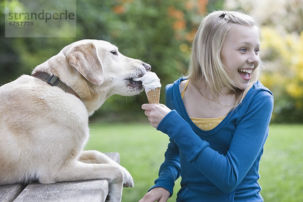 kegelförmig  Kegel  Hund  Eis  essen  essend  isst  Sahne