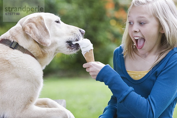 kegelförmig  Kegel  Hund  Eis  essen  essend  isst  Sahne