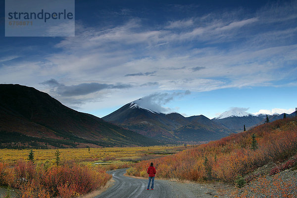 Frau  gehen  Fernverkehrsstraße  Herbst  Yukon