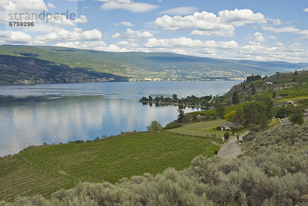 Okanagan Lake   Summerland  BC