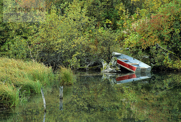 nahe  Sonnenstrahl  Tal  Boot  Ländliches Motiv  ländliche Motive  British Columbia  Teich