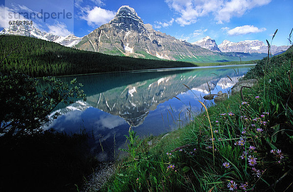 Berg  Felsen  vorwärts  Eisfeld  Alberta  Kanada