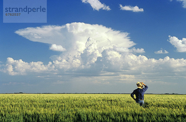 sehen  Wolke  Feld  Bauer  Gerste  Gewitterwolke  Manitoba