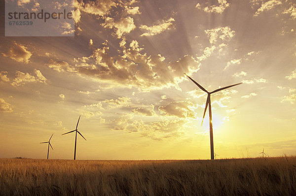 Windturbine Windrad Windräder Sonnenuntergang Feld Gerste Leon Manitoba