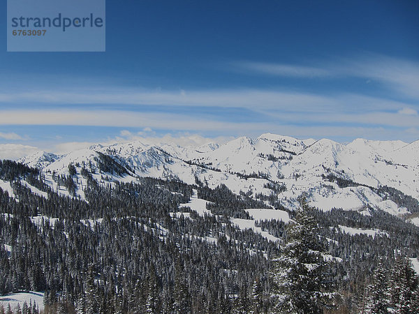 Vereinigte Staaten von Amerika  USA  Big Cottonwood Canyon  Utah  Winterlandschaft