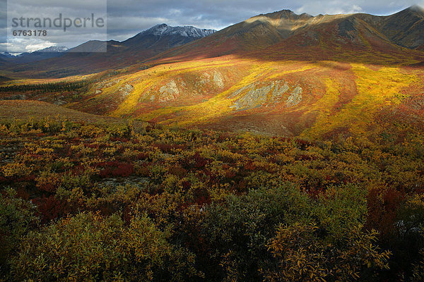 Tal  Herbst  Ansicht  Yukon