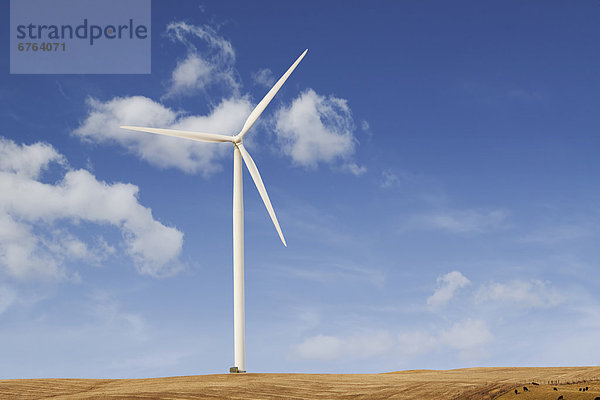 Vereinigte Staaten von Amerika USA Windturbine Windrad Windräder Iowa