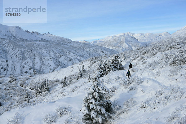 Kluane Nationalpark  Yukon