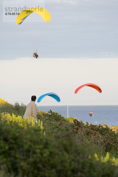 Man Watching Paragliders  Victoria  BC