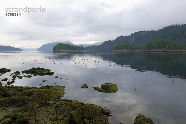 Dorf  Ansicht  British Columbia  Meeresarm  Sunshine Coast