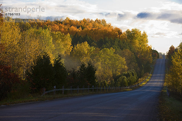 Ländliches Motiv  ländliche Motive  Morgen  Beleuchtung  Licht  Fernverkehrsstraße  früh  Ontario