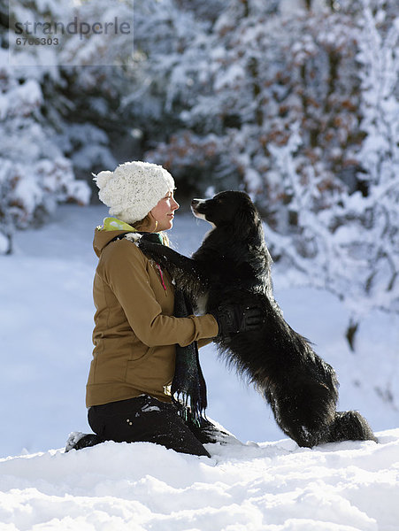 Vereinigte Staaten von Amerika  USA  Frau  Hund  jung  Colorado  spielen  Schnee