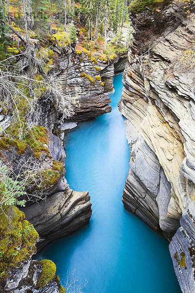 Jasper Nationalpark  Alberta