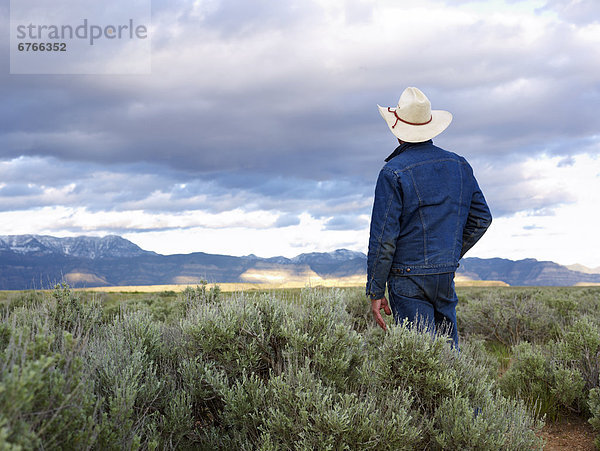 Vereinigte Staaten von Amerika  USA  stehend  Mann  Landschaft  Wüste  Rückansicht  Ansicht  Utah