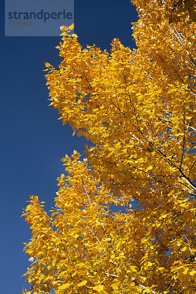 Himmel Close-up blau