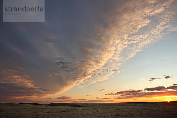 Sonnenuntergang  Himmel  über  Wiese  Saskatchewan