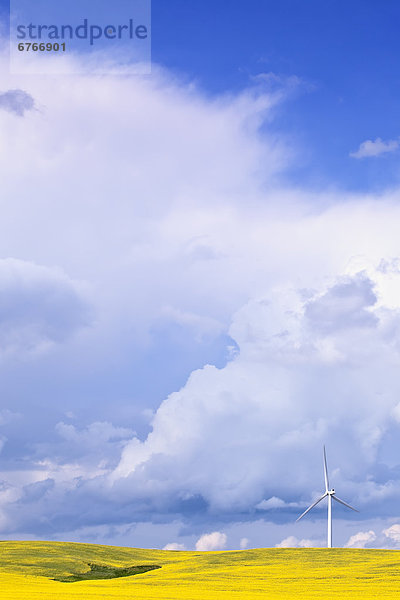 Windturbine Windrad Windräder Wolke über Sturm Feld Canola Leon Manitoba