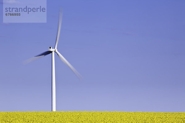 Windturbine Windrad Windräder Feld Canola Leon Manitoba