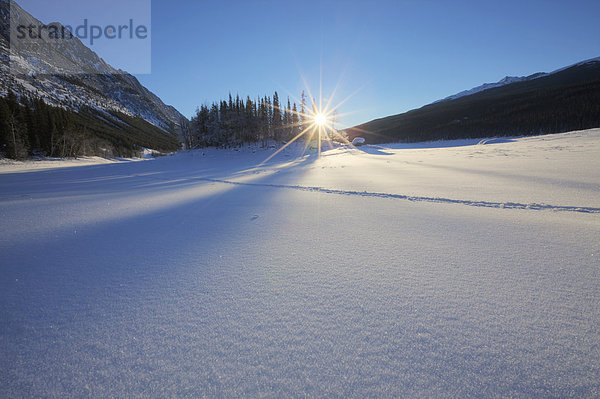 Schnee  Winter  Frische  Morgen  Gesundheitspflege  See  bedecken  Jasper Nationalpark  Alberta  gefroren