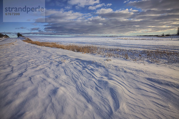 Windblown snowdrifts on winter afternoon  central Alberta