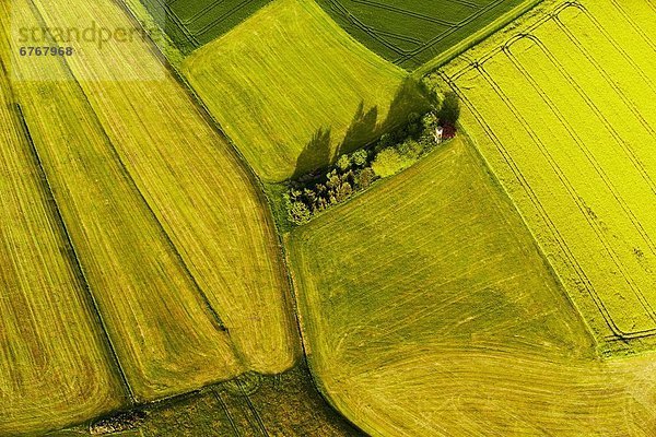 Felder und Wiesen im Frühjahr  Luftbild