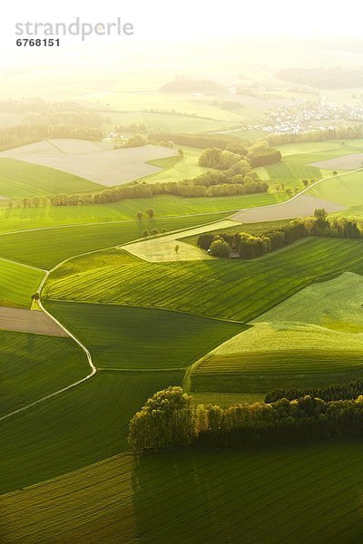 Grüne Felder und Bäume im Gegenlicht  Luftbild