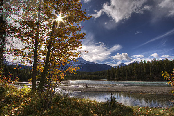 Hintergrund  Fluss  Berg  Athabasca River  Jasper Nationalpark  Alberta