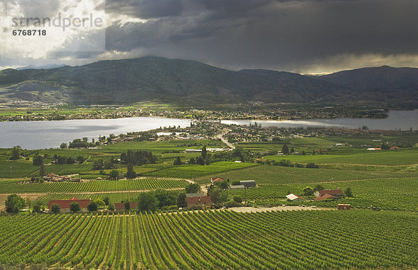 Orchards and Vineyards near Osoyoos  BC