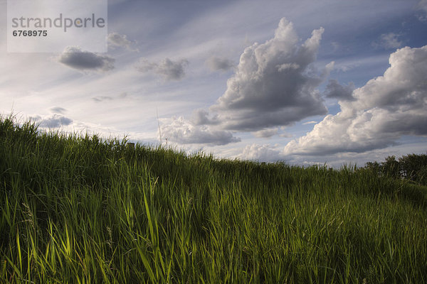 Alberta