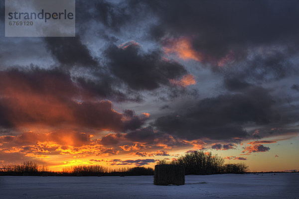 Heuballen auf Feld mit Sonnenuntergang  Namao  Alberta