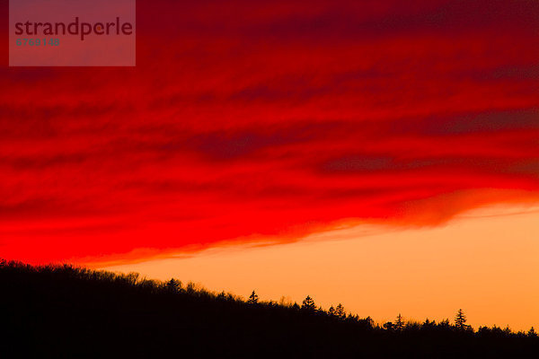 Wolke  Sonnenuntergang  über  Hügel  rot  Wald  Nova Scotia  Neuschottland