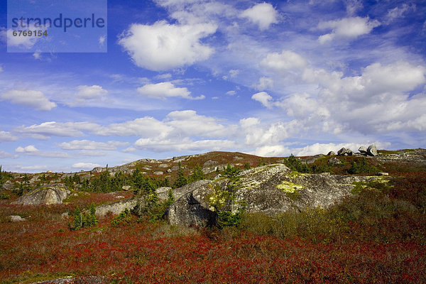 zwischen  inmitten  mitten  Küste  Landschaftlich schön  landschaftlich reizvoll  rot  Bucht  Nova Scotia  Neuschottland