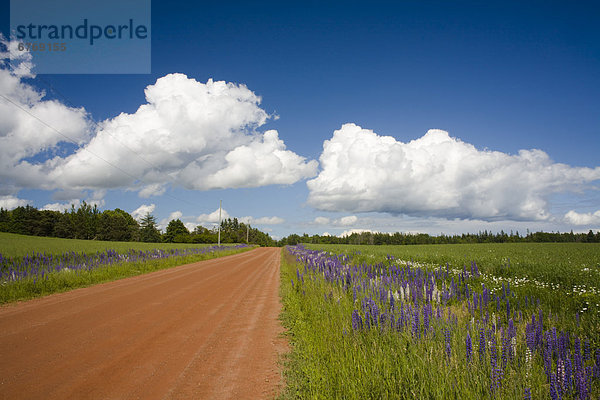 Prince Edward Island