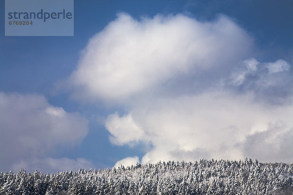 Wolke  über  Sturm  Schnee  Berggipfel  Gipfel  Spitze  Spitzen  Nova Scotia  Neuschottland