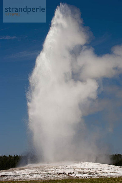Erupting geyser