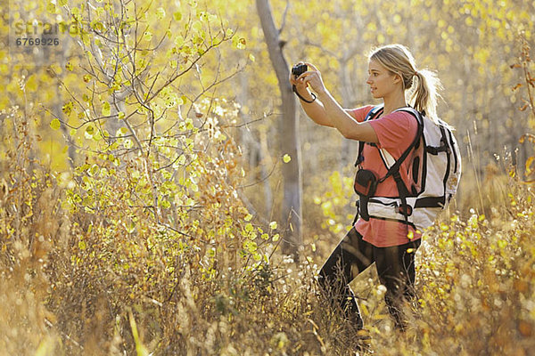 Vereinigte Staaten von Amerika  USA  Frau  Fotografie  nehmen  Wald  jung  Utah